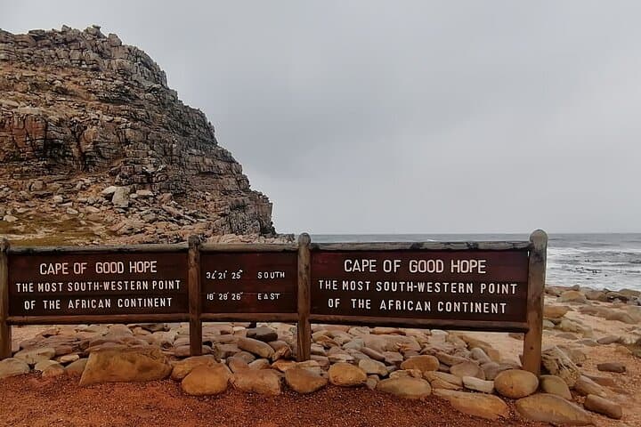 Full-Day Cape Peninsula & Cape Point Tour: Chapman's Peak, Penguins, and Lighthouse Views photo 5