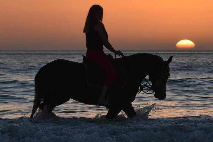 Essaouira Horseback Ride: 3-Hour Mountain-and-Beach Gallop on Arab-Barb Horses photo 4