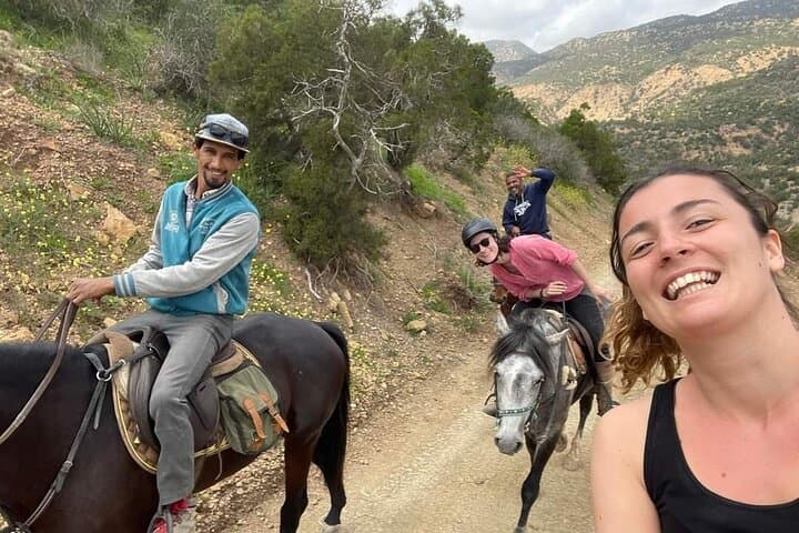 Essaouira Horseback Ride: 3-Hour Mountain-and-Beach Gallop on Arab-Barb Horses photo 5