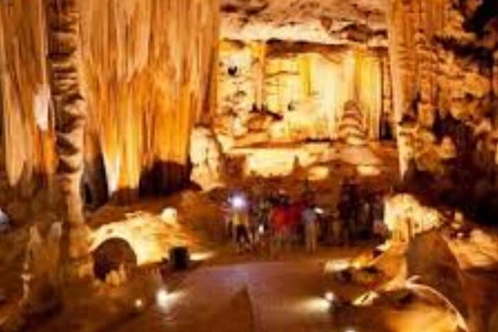 Cape Town to the Garden Route: 7–10 Day Private Tour from Table Mountain to Tsitsikamma photo 3