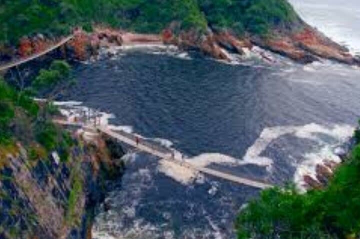 Cape Town to the Garden Route: 7–10 Day Private Tour from Table Mountain to Tsitsikamma photo 4