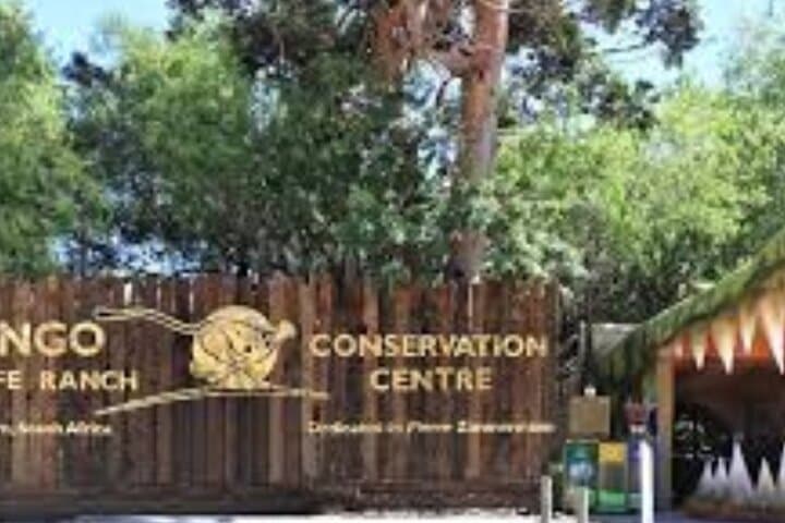 Cape Town to the Garden Route: 7–10 Day Private Tour from Table Mountain to Tsitsikamma photo 5