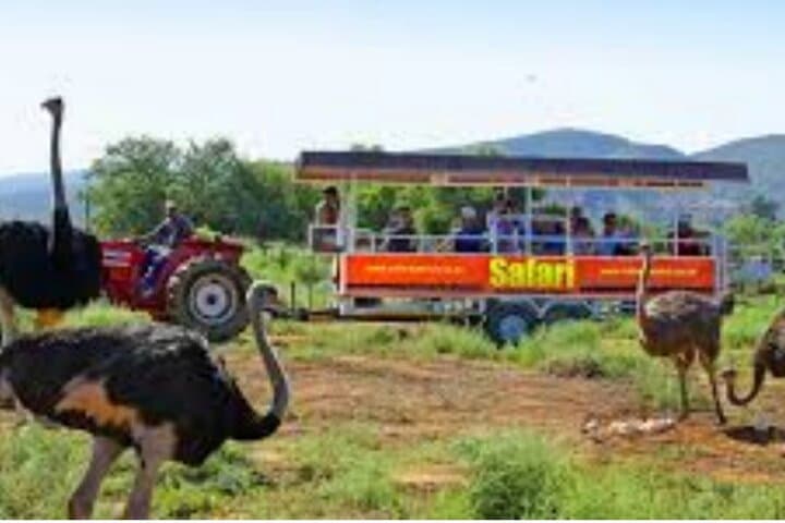 Cape Town to the Garden Route: 7–10 Day Private Tour from Table Mountain to Tsitsikamma photo 6