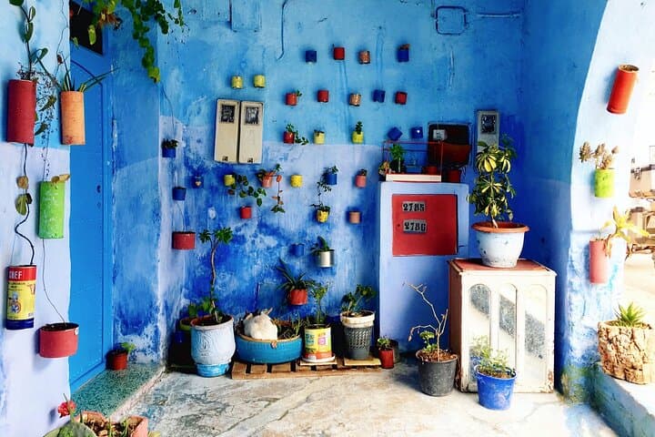 6-Day Tangier to Marrakech Tour via Chefchaouen and Erg Chebbi Desert photo 3