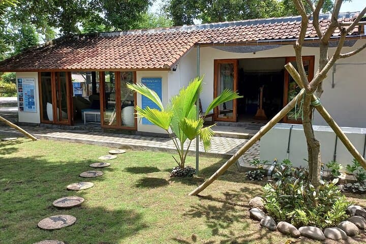 Discover Scuba Diving at Pemuteran's Biorock Reef: Shore Dive Experience photo 5