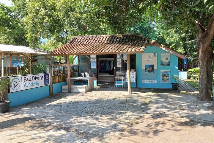 Discover Scuba Diving at Pemuteran's Biorock Reef: Shore Dive Experience photo 6