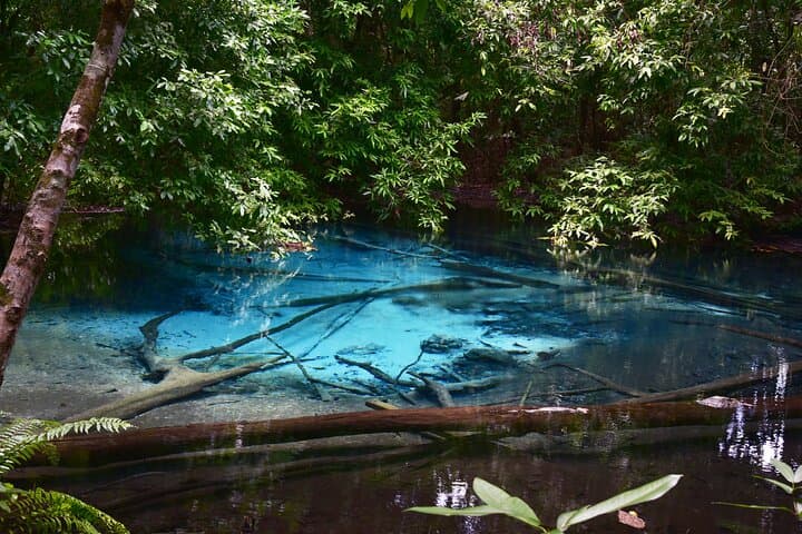 Krabi Rainforest, Emerald Pool & Kayak: Private Day Tour from Ao Nang