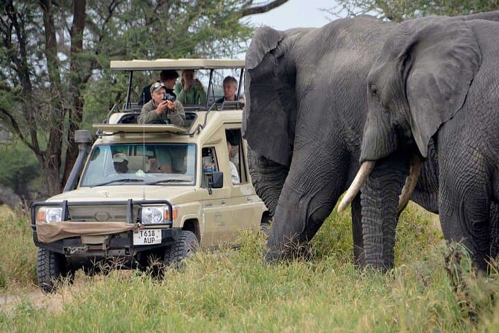 Exclusive Tarangire Safari Day Trip from Arusha photo 3