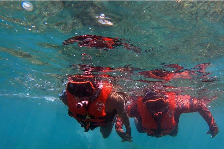 Sea Kayak Whale Watch in Olowalu, Maui — No Time Limit photo 6