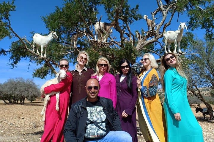 Essaouira Walking Tour — Harbor Tastes, Ramparts & Medina Alleys photo 1