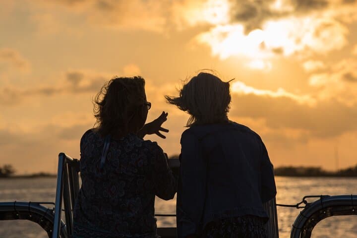Hilton Head 90-Minute Sunset Dolphin Cruise — Lowcountry Dolphin & Marsh Tour photo 3