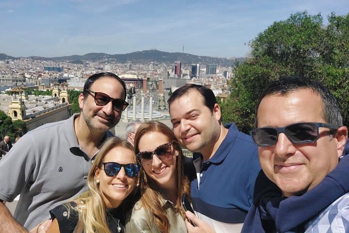 Barcelona Private Panoramic Tour: Hidden Gems & City Highlights