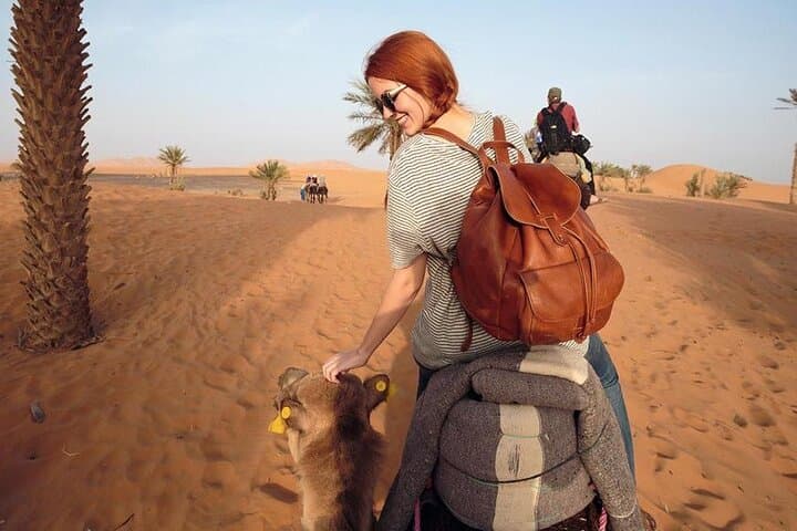 Zagora Desert Tour from Marrakech: 2-Day Camel Trek & Overnight Sahara Camp