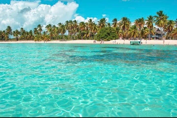 Private Catamaran Snorkeling Cruise from Punta Cana — Half-Day VIP Trip photo 2