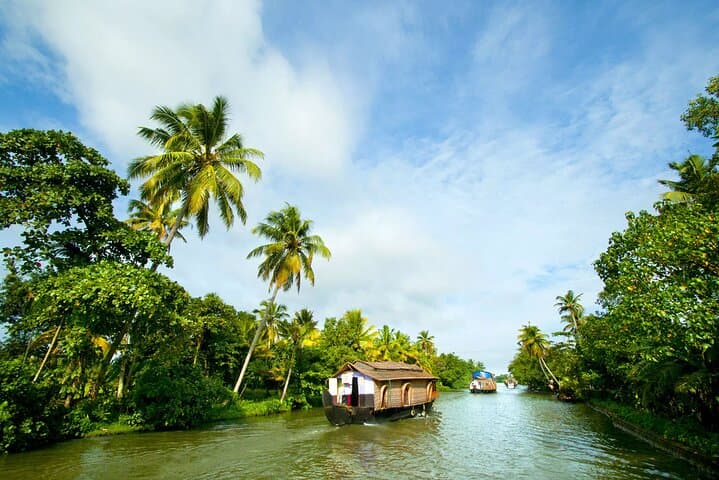 Kerala 6-Day Highlights: Munnar, Thekkady & Backwater Houseboat