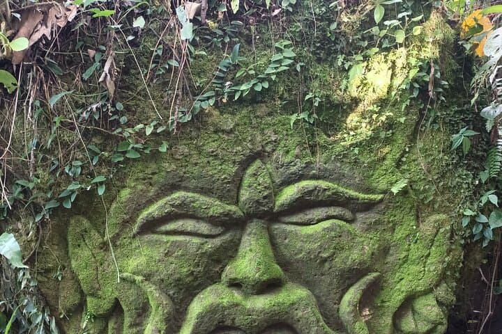 Full-Day Private Ubud Tour with Pickup — Temples, Waterfalls & Rice-Field Views photo 3