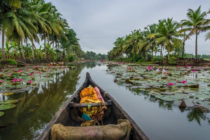 Kerala 6-Day Highlights: Munnar, Thekkady & Backwater Houseboat photo 5