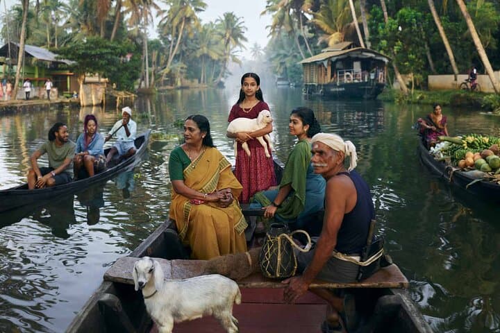 Kerala 6-Day Highlights: Munnar, Thekkady & Backwater Houseboat photo 6