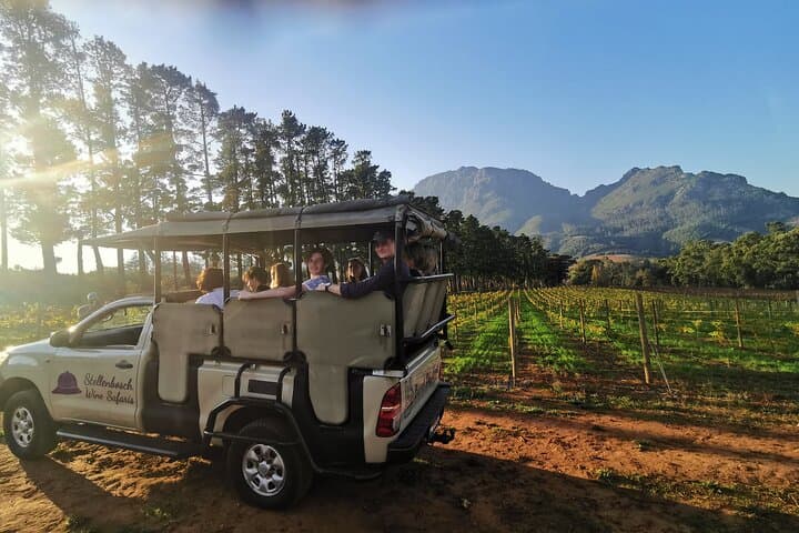 Stellenbosch Wine Safari — Banhoek & Simonsberg Taste Trail photo 3