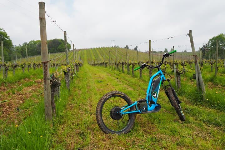 Iraty Forest Electric Scooter Tour — Guided 90-Minute All‑Terrain Ride photo 4
