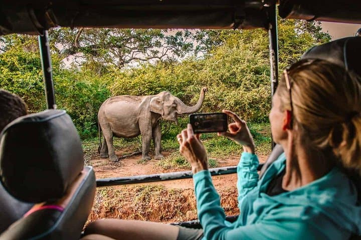 Yala National Park Jeep Safari: Leopard Encounters & Elephants in Sri Lanka photo 2