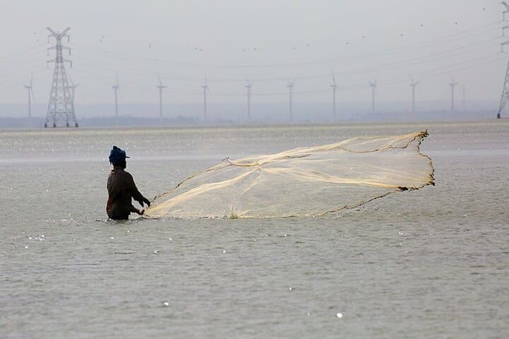 Kalpitiya Fishing Village Overnight & Early-Morning Dolphin Watching From Negombo photo 3