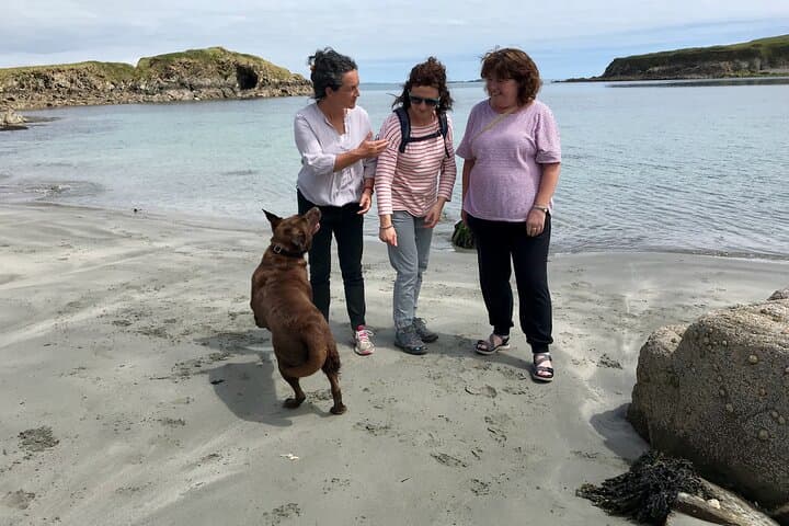 Placenames Walking Tour in West Cork with Artisan Picnic on the Wild Atlantic Way photo 5