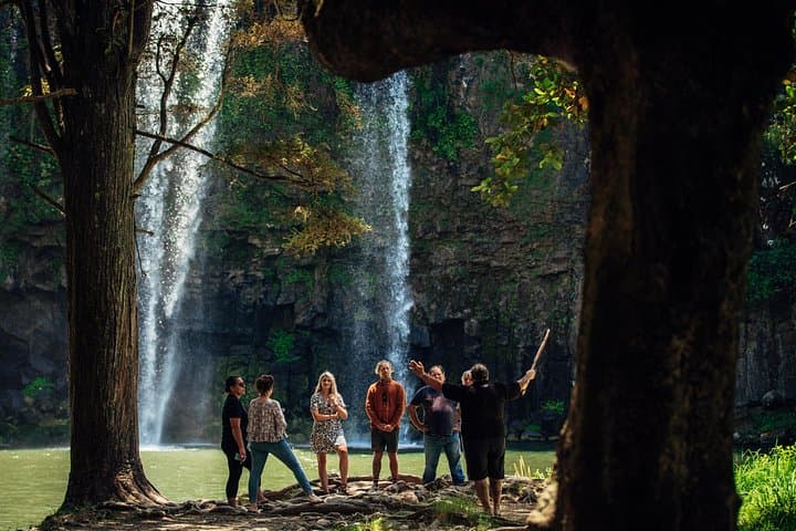 Māori Cultural Experience in Whangārei — Tu Tika Tours Private Visit