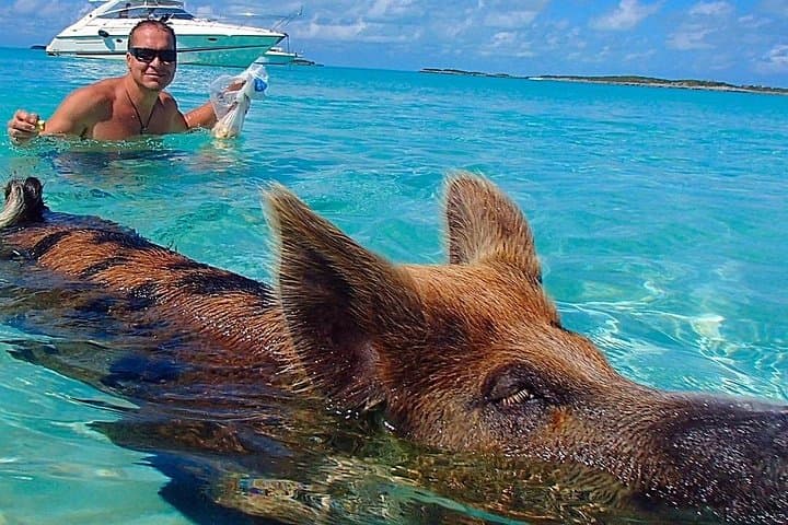 Private Swimming Pigs Beach Day from Nassau — Yacht, Snorkel & Paddle Board photo 2