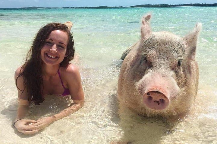 Private Swimming Pigs Beach Day from Nassau — Yacht, Snorkel & Paddle Board photo 3