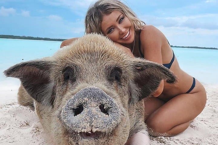 Private Swimming Pigs Beach Day from Nassau — Yacht, Snorkel & Paddle Board photo 1