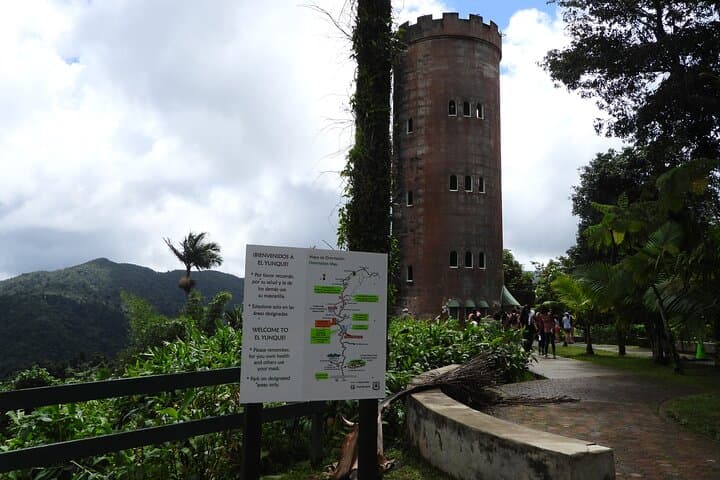 El Yunque Rainforest to Luquillo Beach: Half-Day Rainforest Walk and River Swim photo 5