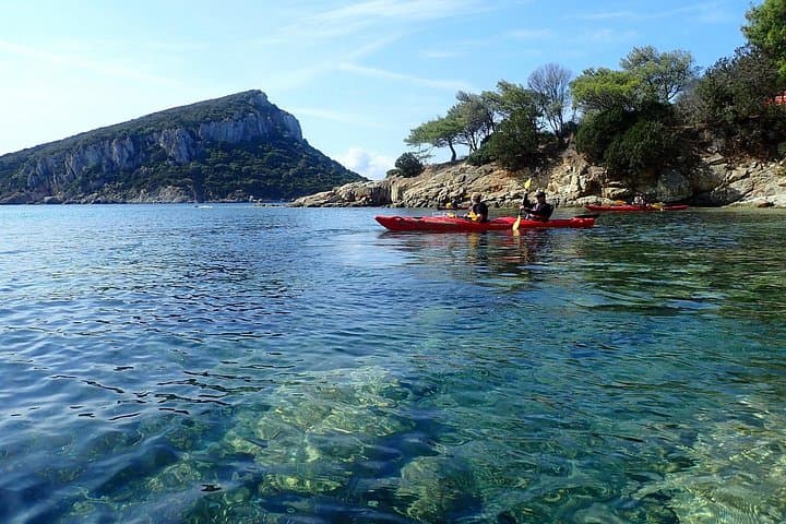 Sunset Dolphin Kayak Tour in Golfo Aranci — Paddle with Dolphins at Isola di Figarolo photo 3