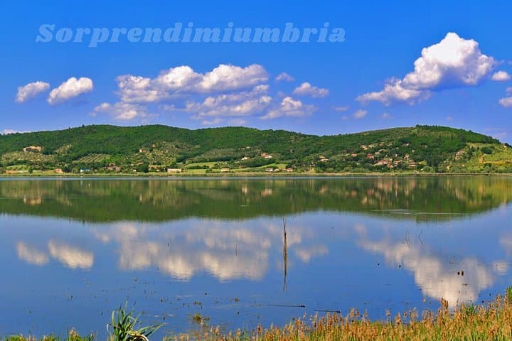 Kayak Lake Trasimeno: Paddle to Isola Polvese and Lunch on the Shore photo 5