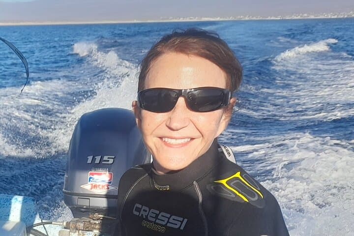 Cabo Ocean Safari: Snorkel with Pelagic Animals photo 4