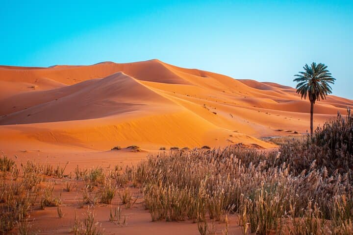 Marrakesh Quad Bike Adventure: 4-Hour Quad Ride to Lalla Takerkoust and Berber Village photo 5