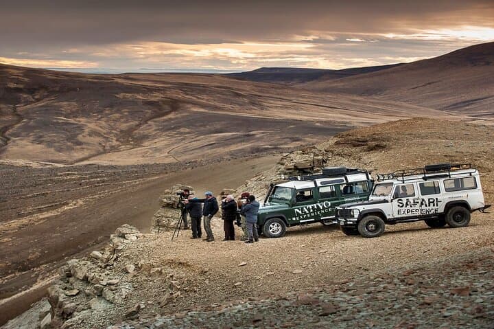 4x4 Patagonia Safari to Estancia 25 de Mayo: Fossils, Steppe Wildlife & Calafate History