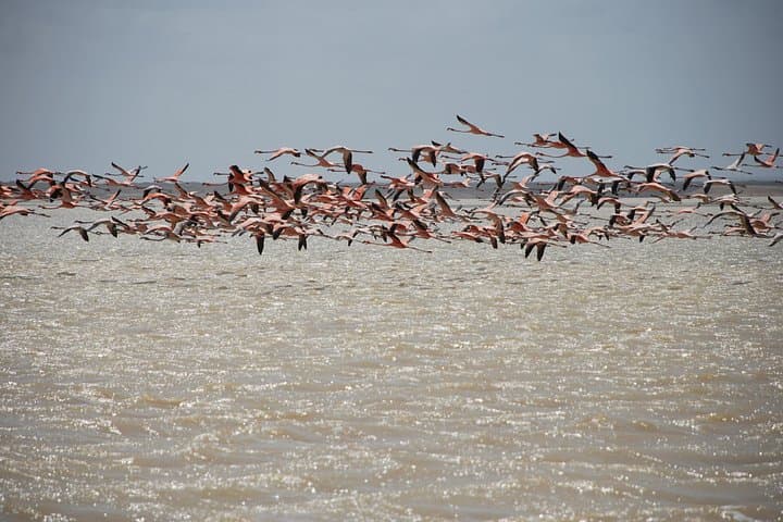 Alta Guajira 7-Day Photographic Route: Punta Gallinas, Wayuu Culture & Dunes