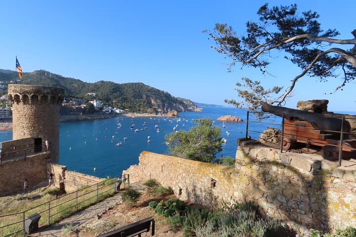 Costa Brava Scuba Diving in Tossa de Mar: Day Trip from Barcelona with Lunch photo 4