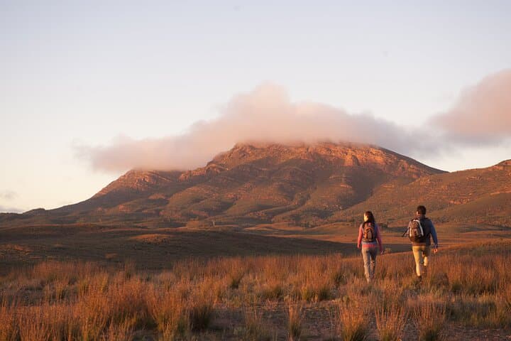 Five-Day Ikara–Flinders Ranges Hiking Tour: Rawnsley Park, Wilpena Pound & Brachina Gorge