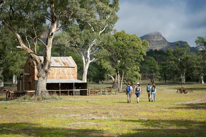 Five-Day Ikara–Flinders Ranges Hiking Tour: Rawnsley Park, Wilpena Pound & Brachina Gorge photo 2