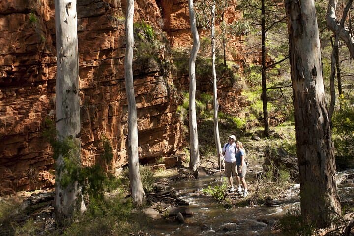 Five-Day Ikara–Flinders Ranges Hiking Tour: Rawnsley Park, Wilpena Pound & Brachina Gorge photo 3