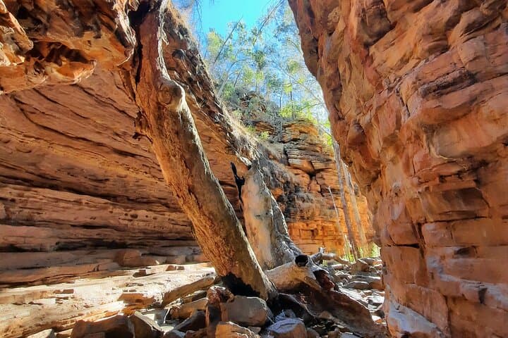 Five-Day Ikara–Flinders Ranges Hiking Tour: Rawnsley Park, Wilpena Pound & Brachina Gorge photo 5