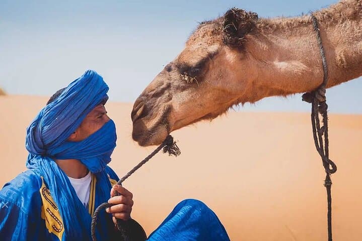 Marrakech to Zagora 2-Day Desert Tour: Camel Trek & Luxury Berber Camp