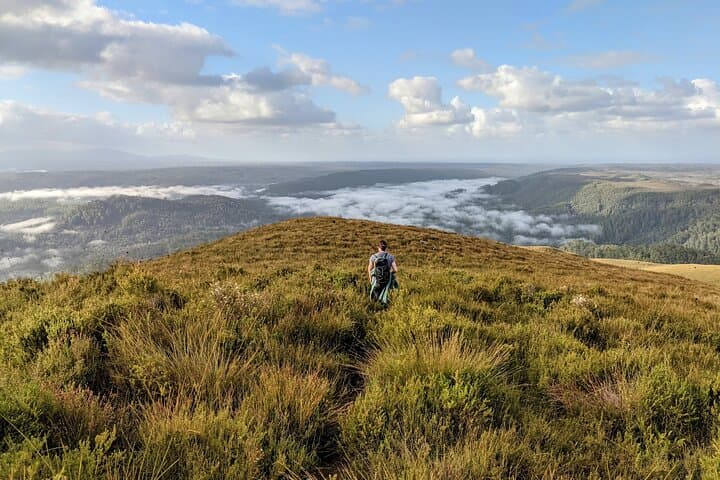 Tarkine Wilderness Highlights: 5-Day Hiking Tour from Launceston photo 3