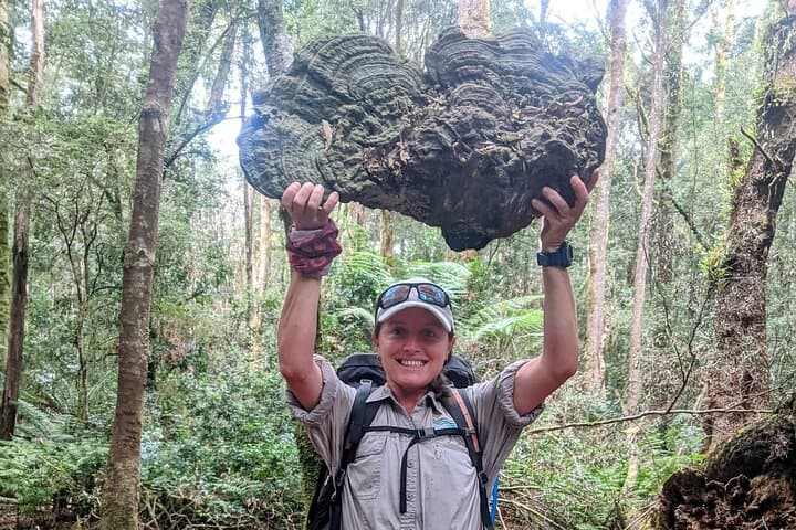 Tarkine Wilderness Highlights: 5-Day Hiking Tour from Launceston photo 4