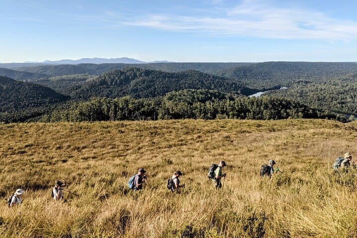 Tarkine Wilderness Highlights: 5-Day Hiking Tour from Launceston photo 6
