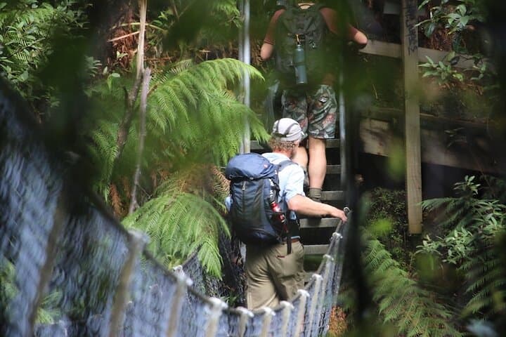 Tarkine Wilderness Highlights: 5-Day Hiking Tour from Launceston photo 2
