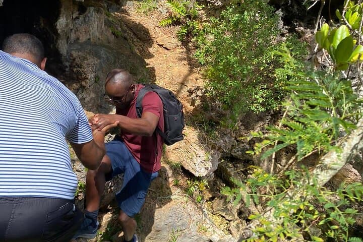 Tom Moore's Jungle and Eco Tour: Bermuda Forest Walk, Caves & Spittal Pond