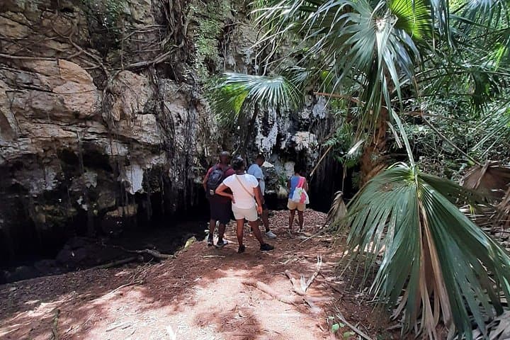 Tom Moore's Jungle and Eco Tour: Bermuda Forest Walk, Caves & Spittal Pond photo 3